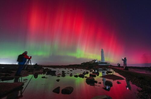 Solar Maximum 2026: 5 Aplikasi Tracker Aurora Paling Akurat untuk Berburu Northern Lights dari HP