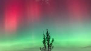 Navigasi Alam Ekstrem: Mengapa Aplikasi Tracker “Aurora-Quake” Menjadi Life-Saver Paling Dicari di Mei 2026?