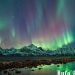 Aurora Terlihat di Langit Italia Utara, Gempa Goyang Jepang dalam 1 Jam: Aplikasi Tracker Ini Peringatkan 15 Menit Sebelum Terjadi