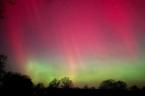 Ketika Langit Berbisik dan Bumi Bergetar: Bagaimana Peta Pelacak Real-Time Aurora dan Aktivitas Seismik 2026 Mengubah Ponsel Kita Menjadi Radar Kosmik Paling Peka