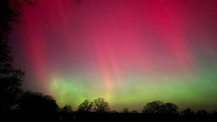 Ketika Langit Berbisik dan Bumi Bergetar: Bagaimana Peta Pelacak Real-Time Aurora dan Aktivitas Seismik 2026 Mengubah Ponsel Kita Menjadi Radar Kosmik Paling Peka